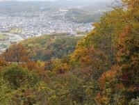 紅葉(展望台から)