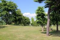 芝生広場（陸上競技場前）