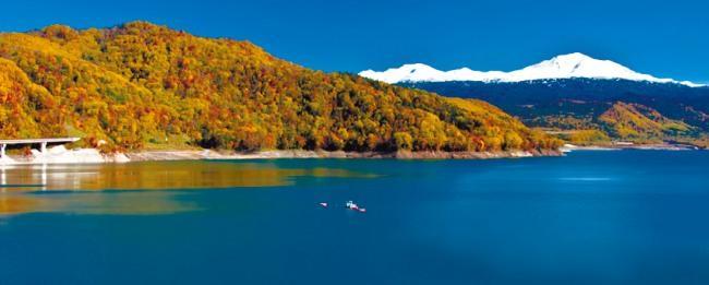 ご入浴(お一人様)