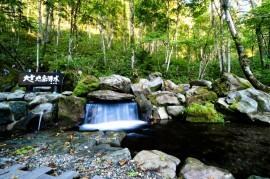 キトウシ高原ホテルの温浴水