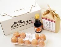たまごかけごはんセット