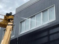 カメムシ、テントウムシ、コバエ