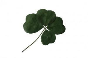 四つ葉のクローバーで