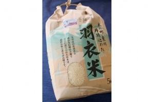 23年産「おぼろづき」