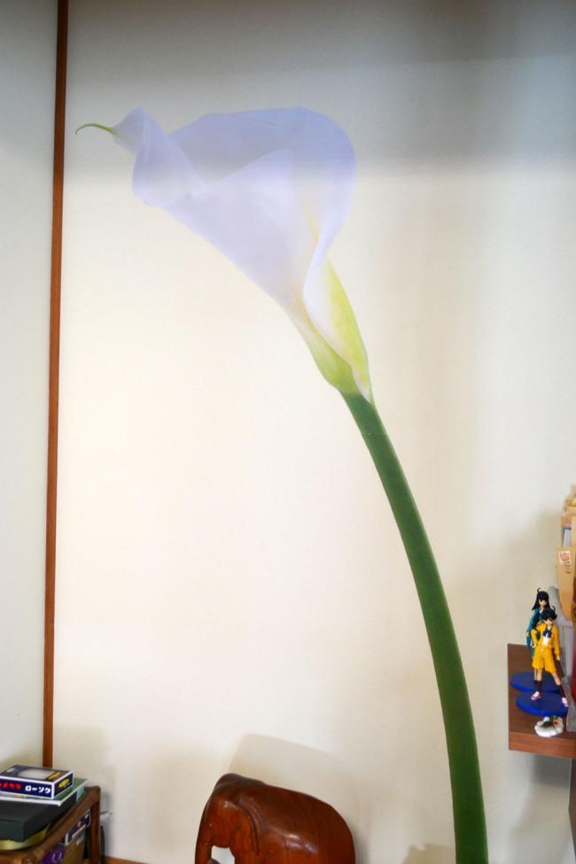 壁を彩るデザインの受注も承ります。ご相談ください。