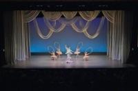 「眠れる森の美女」より