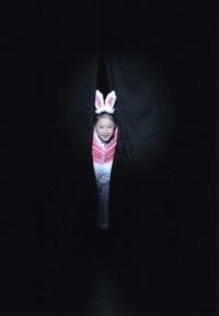 「アリスの夢」