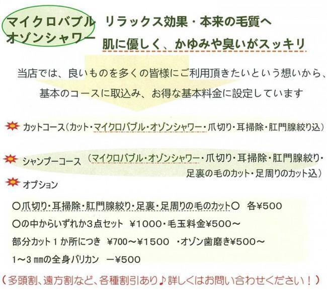 マイクロバブルオゾンシャワー