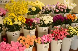 切花は1本1本水揚げします