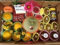 ✧フレッシュフルーツギフト✧