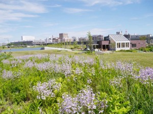 宮前公園西エリア