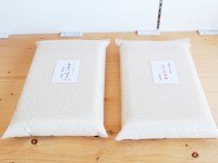 真空パックなので美味しさ長持ち