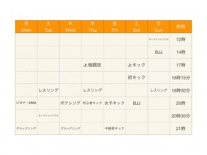 タイムスケジュール