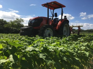大切な愛車、相棒