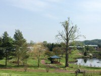 青い空とたくさんの緑が心を癒やします