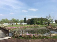 どこか懐かしさを感じる風景が広がります