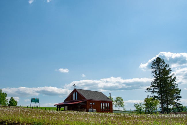 広大な丘のまん中。景色もごちそう