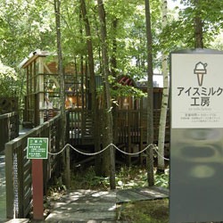 アイスミルク工房