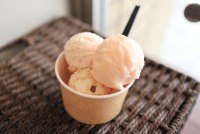 お試し３種盛り