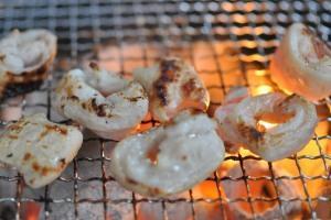 プリプリの旭川認定コロチョウホルモンを是非！他では味わえ無いメニューが盛り沢山！食べて笑顔になる事マチガイなし。