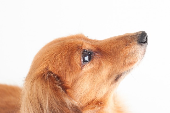 お取り扱い店はこちらです