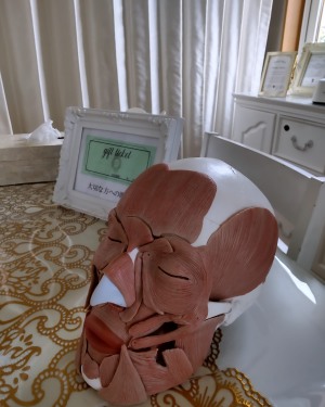 ●産後ケアベーシックコース＋美筋整顔
   90分 ￥14300（税込）