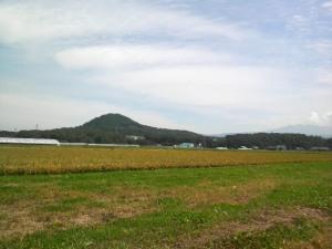 上川の米どころ、当麻町