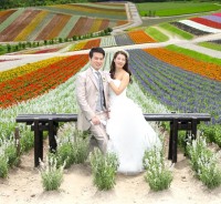 美瑛・富良野ロケーションプラン