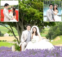 美瑛・富良野ロケーションプラン