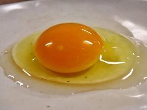 かっぱの健卵のたまご