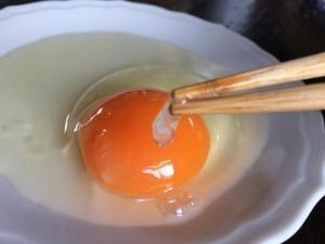 ひも状のモノって？