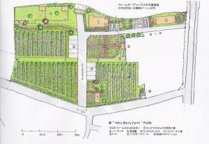 ブルーベリーファームの平面プラン
