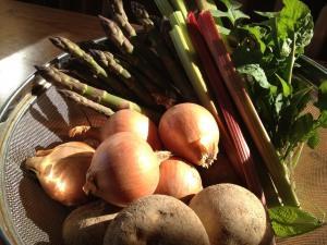 野菜を食べよう!