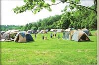 <ふれあい広場>オートキャンプ場(ペット同伴可)