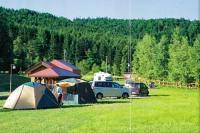 <ファミリーゾーン>キャンプ場(ペット同伴可)