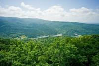 <21(にいぺ)の森自然体験ゾーン>キャンプ場