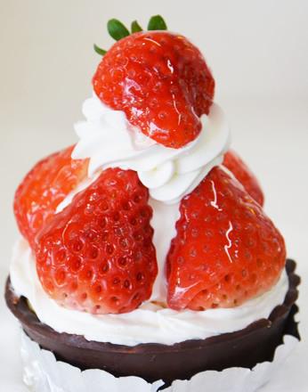 テディ・ロール