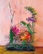 fragil ~フラジール~