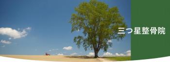 三つ星整骨院