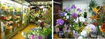 フローリストムラタ