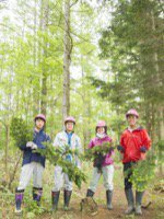 NPO法人 森の生活