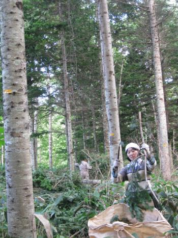株式会社フプの森