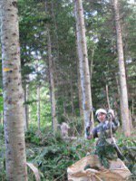 株式会社フプの森