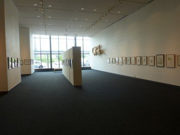 第7回写真展「地球はいま」