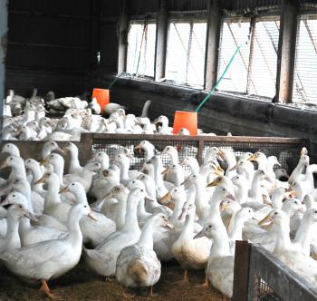 就労継続事業所 滝川新生園