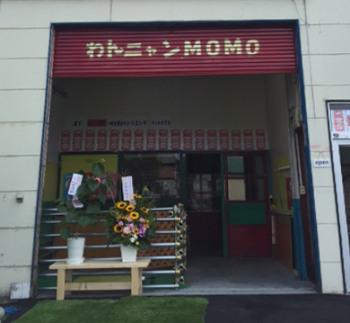 わんニャンMOMO