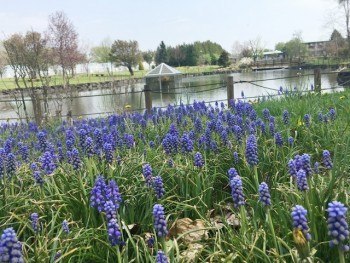 旭川市農業センター(花菜里ランド)