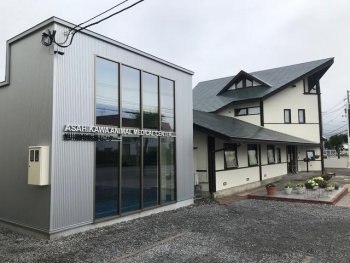 どうぶつ園通りの動物病院