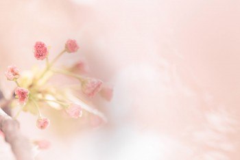 小さな美容室Asso