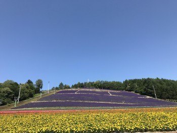 なかふらの観光協会